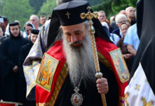 IPS Teofan, în vizită la pacienţii Covid de la terapie intensivă: ”Pacienții s-au bucurat nespus, iar unii chiar au încercat să se ridice din pat”