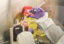 Rețeaua de Sănătate REGINA MARIA are prima și singura bancă de celule stem din România acreditată și pentru țesuturi